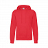 Толстовка с начесом CLASSIC HOODED SWEAT 280 - Фото 1