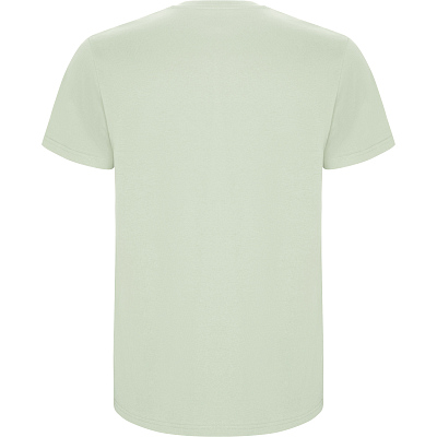 Футболка детская STAFFORD, ТУМАННО-ЗЕЛЕНЫЙ 11/12