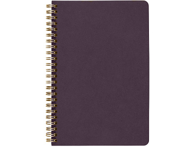 Бизнес тетрадь А5 Pragmatic