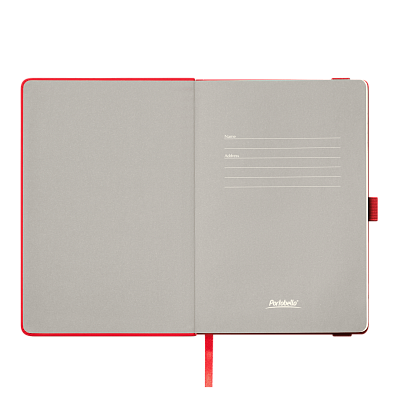 Ежедневник Альфа (Alpha) недатированный, красный/серый