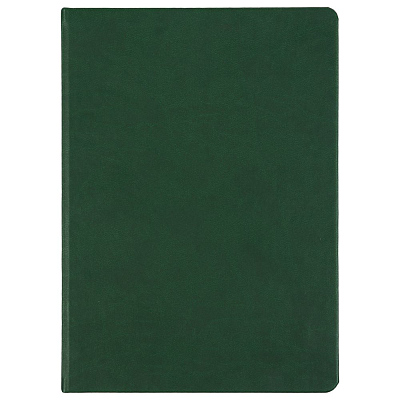 Ежедневник Basis, датированный, зеленый