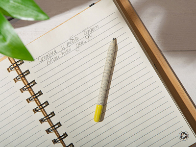 Растущий карандаш mini с семенами акации серебристой