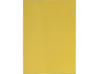 Папка-уголок А4, глянцевая