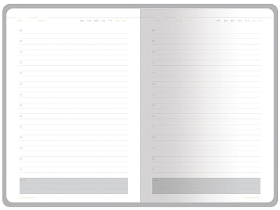 Ежедневник недатированный А5 Mercury