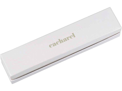 Ручка шариковая Arc en ciel Beige