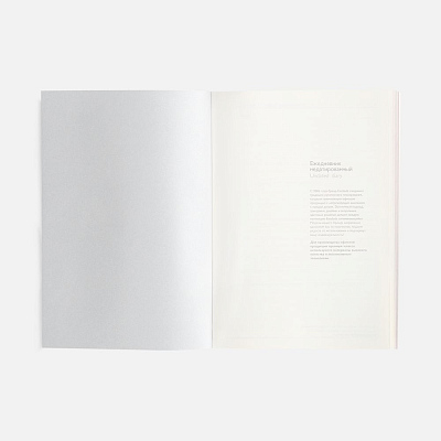 Ежедневник Repute, недатированный, серый