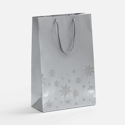 Пакет Wintry, серебристый