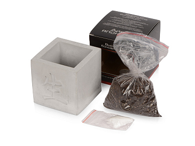 Подарочный набор Вырасти Бонсай дома. Айва Японская