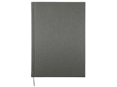 Ежедневник недатированный А5 Probe AR