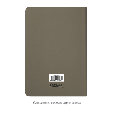 Ежедневник Spark недатированный, серый (без упаковки, без стикера)