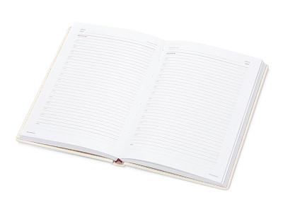 Ежедневник недатированный А5 Velvet