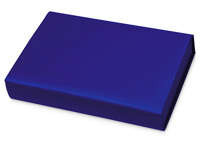 Набор для записей с пауэрбэнком Ион