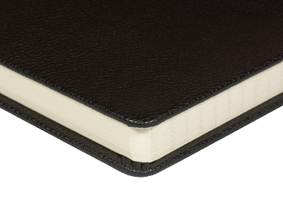 Ежедневник недатированный А5 Megapolis Loft