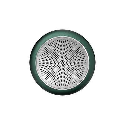 Беспроводная колонка Passion 80dB 600 mAh (Bluetooth 5.4), зеленая