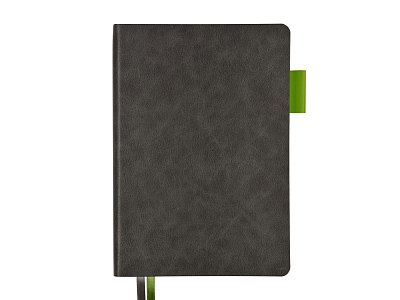 Ежедневник А5 датированный Boston на 2026 год