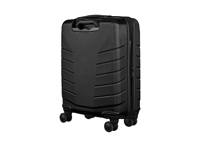 Чемодан Pegasus, 39 л