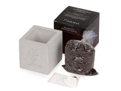 Подарочный набор Вырасти Бонсай дома. Годжи