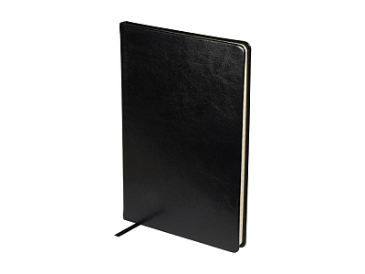 Блокнот А5 Megapolis Nebraska