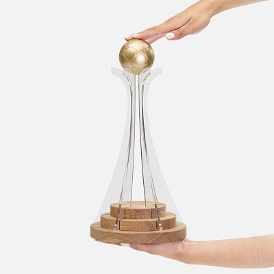 Кубок Everball c 3D-элементами