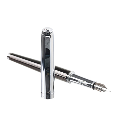 Ручка перьевая Pierre Cardin LEO, цвет - серебристый и коричневый. Упаковка B-1