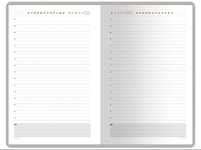Ежедневник недатированный А5 Mercury