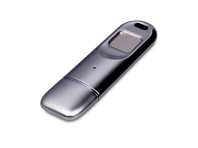 USB 3.0-флешка на 256 Гб со сканером отпечатков пальцев в подарочной упаковке (Серебристый)