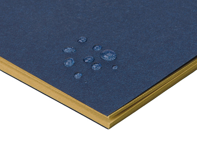 Блокнот A5 Monet из моющегося крафта