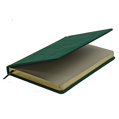 Ежедневник недатированный Joy, формат А5, в линейку