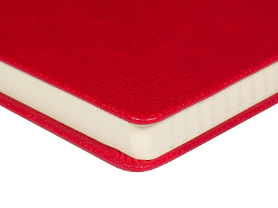 Ежедневник недатированный А5 Megapolis Loft