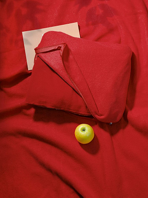 Дорожный плед-подушка Pathway 2, красный