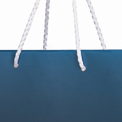 Пакет подарочный AESTHETIC,  24х9х28 см