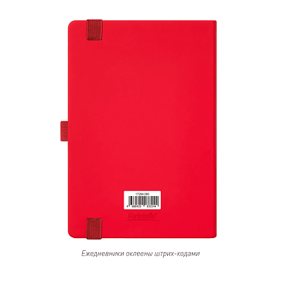 Ежедневник Альфа (Alpha) недатированный, красный/серый