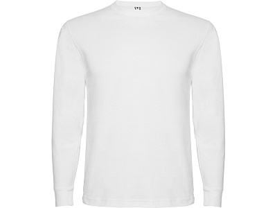 Футболка с длинным рукавом Pointer мужская (Белый)