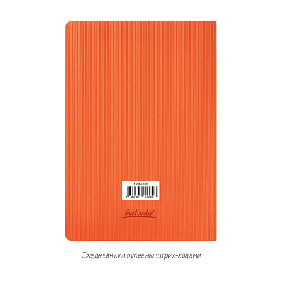 Ежедневник Rain недатированный, оранжевый