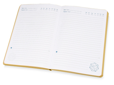 Ежедневник недатированный А5 Vivid Flex AR