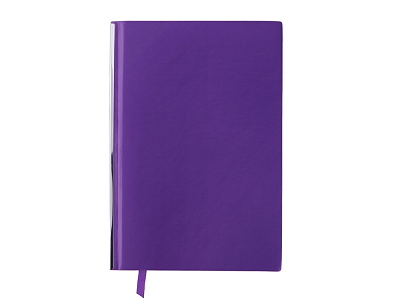 Блокнот А5 Scribe