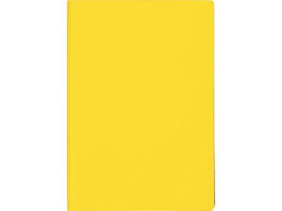 Бизнес-блокнот А5 C1 soft-touch