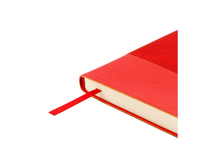 Ежедневник недатированный А5 Soho