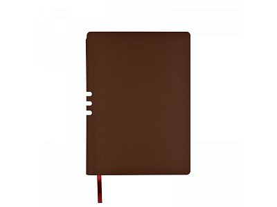 Ежедневник недатированный А5 Madrid