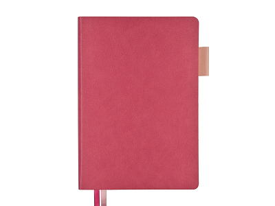 Ежедневник А5 датированный Boston на 2026 год