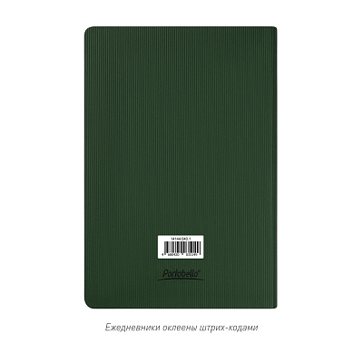 Ежедневник Rain недатированный, зеленый (без упаковки, без стикера)