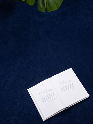 Плед для пикника Soft & Dry 2, синий