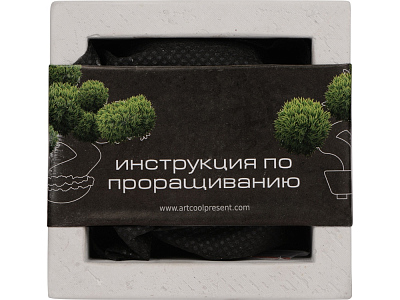 Подарочный набор Вырасти Бонсай дома. Сосна