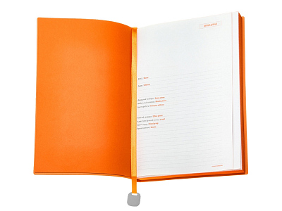 Ежедневник недатированный А5 Mercury