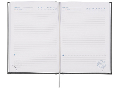 Ежедневник недатированный А5 Probe AR