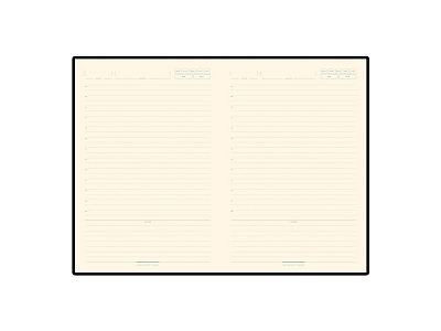 Ежедневник недатированный А5 Chelsea