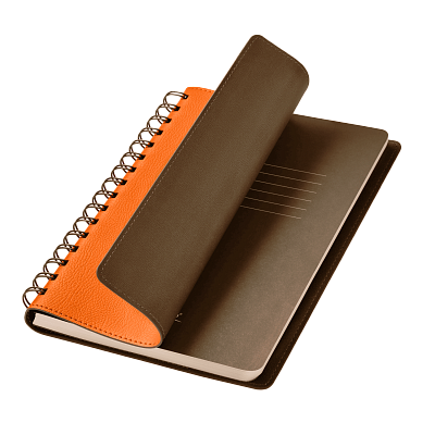 Ежедневник Виста (Vista) недатированный, оранжевый/коричневый (Оранжевый, коричневый, бежевый)