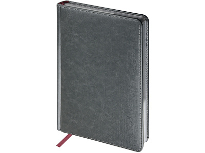 Ежедневник недатированный А5 Sidney Nebraska с золотым срезом (Серый)