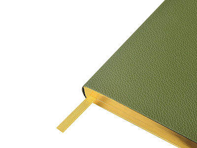 Ежедневник недатированный А5 Verde