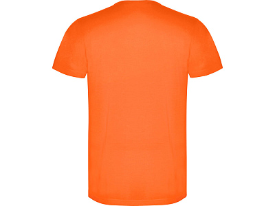 Футболка Akita мужская